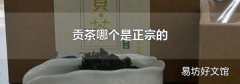 贡茶哪个是正宗的