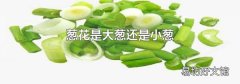 葱花是大葱还是小葱