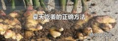 夏天吃姜的正確方法