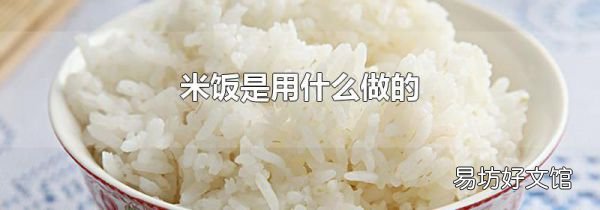 米飯是用什么做的