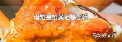 母蟹是蟹黃還是蟹膏