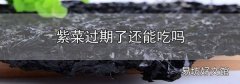 紫菜過期了還能吃嗎