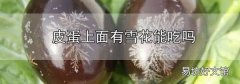 皮蛋上面有雪花能吃嗎