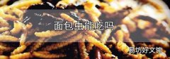 面包蟲能吃嗎