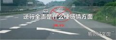 逆行全責是什么梗感情方面