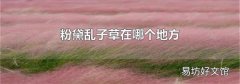 粉黛亂子草在哪個地方