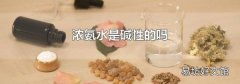 濃氨水是堿性的嗎