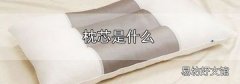 枕芯是什么
