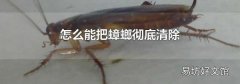 怎么能把蟑螂徹底清除
