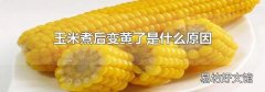 玉米煮后變黃了是什么原因
