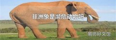 非洲象是瀕危動物嗎