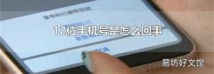 12位手機號是怎么回事