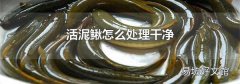 活泥鰍怎么處理干凈