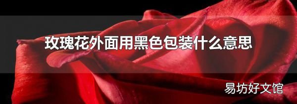 玫瑰花外面用黑色包裝什么意思