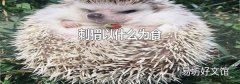 刺猬以什么為食