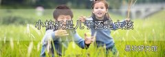 小棉襖是兒子還是女孩