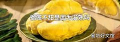 榴蓮不甜是因為沒熟嗎
