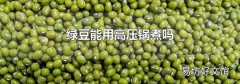 綠豆能用高壓鍋煮嗎