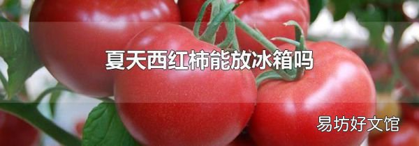 夏天西紅柿能放冰箱嗎