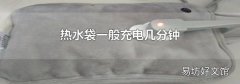 熱水袋一般充電幾分鐘