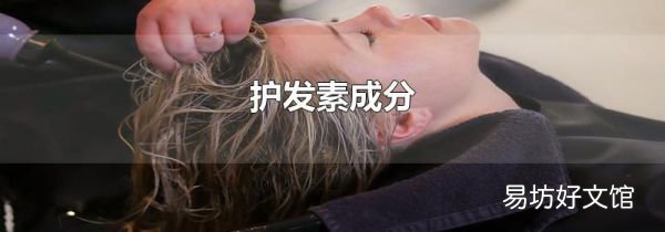 護發素成分