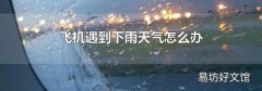 飛機遇到下雨天氣怎么辦