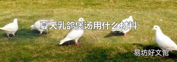 夏天乳鴿煲湯用什么材料