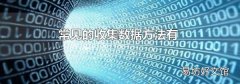 常見的收集數據方法有