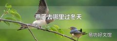 燕子去哪里過冬天