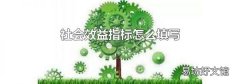 社會效益指標怎么填寫