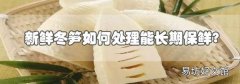 新鮮冬筍如何處理能長期保鮮?