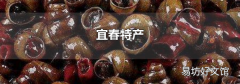 宜春特产