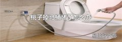 桃子掉馬桶堵了怎么辦