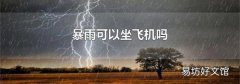 暴雨可以坐飛機嗎