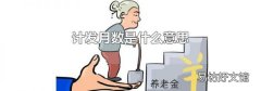 計發月數是什么意思