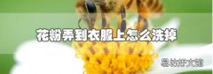 花粉弄到衣服上怎么洗掉