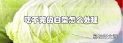 吃不完的白菜怎么處理