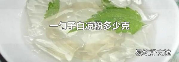 一勺子白涼粉多少克