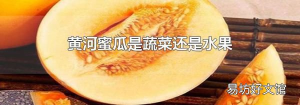 黃河蜜瓜是蔬菜還是水果