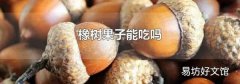 橡樹果子能吃嗎