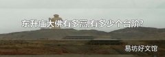 東升廟大佛有多高,有多少個臺階?