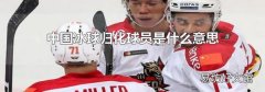 中國冰球歸化球員是什么意思