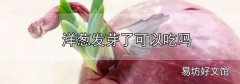 洋蔥發芽了可以吃嗎