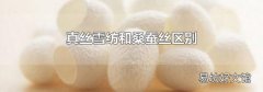 真絲雪紡和桑蠶絲區別