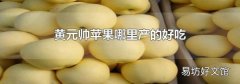 黃元帥蘋果哪里產的好吃
