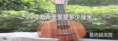 23寸尤克里里是多少厘米