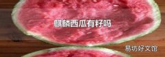 麒麟西瓜有籽吗