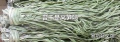 苔干是萵筍嗎