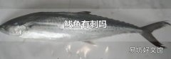 鲅魚有刺嗎