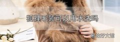 狐貍毛領可以用水洗嗎